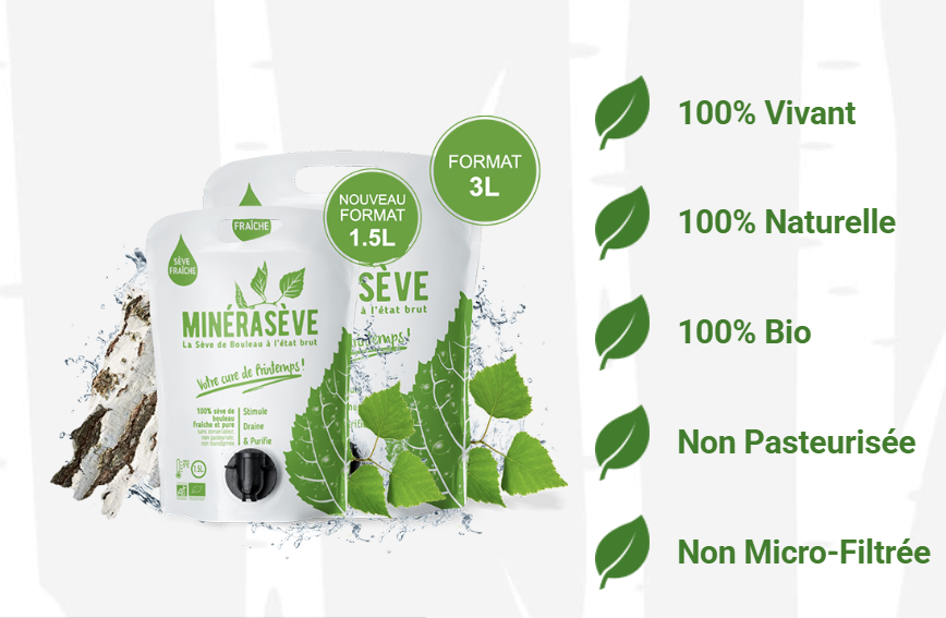 Minérasève : Les bienfaits sève de bouleau sur l&rsquo;organisme après l&rsquo;hiver